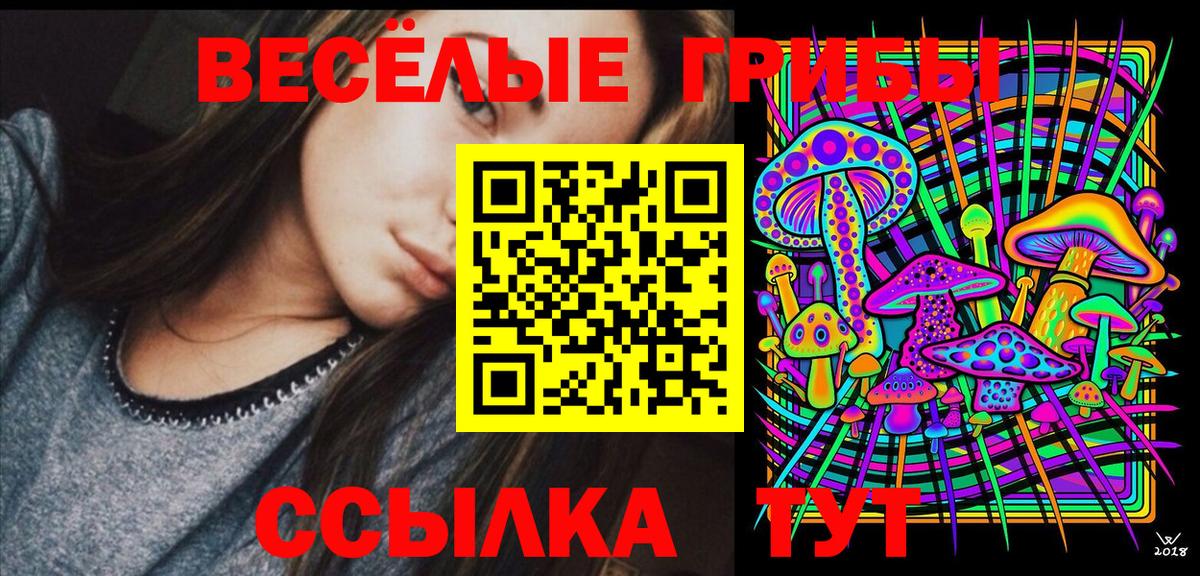 Псилоцибиновые грибы Magic Shrooms  Вход с VPN  Тара  Псилоцибиновые грибы Psilocybe 